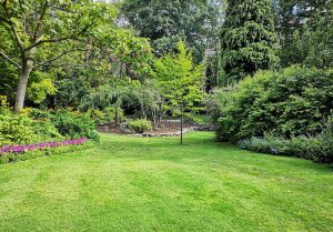 Optimiser l'expérience du jardin à Villavard
